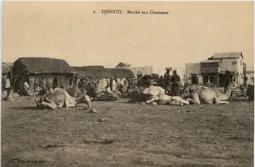 Djibouti - Marche aux Chameaux -98754