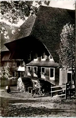 Schwarzwälder Bauernhaus in Menzenschwand -387718