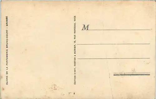 Cueilette du Jasmin -367366