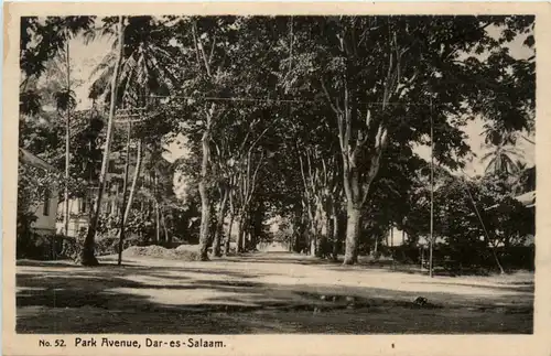 Dar-es-Salaam - Park Avenue -99054