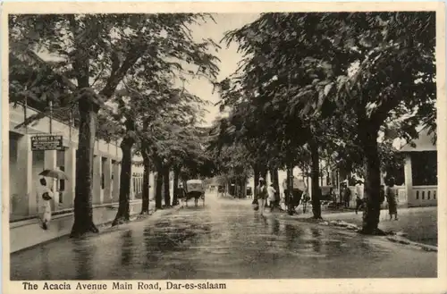 Dar-es-Salaam - Acacia Avenue Main Road -99094