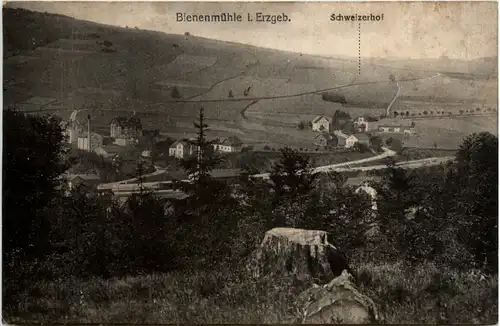 Bienenmühle i. Erzgeb., Schweizerhof -388024