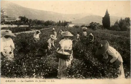 Grasse, La Ceilette du Jasmin -367666