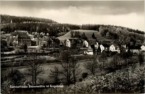 Bienenmühle i. Erzgeb., -388058