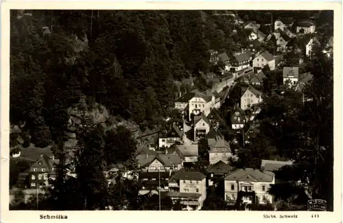 Sächs. Schweiz, Schmilka im Elbtal -389010