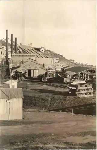 Congo Belge - Panda -99474