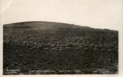 Territorio Santa Cruz - Rodeo de Lanares -448640