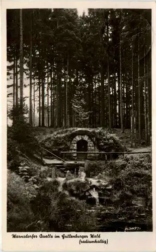 Warnsdorfer Quelle im Grillenburger Wald -389518