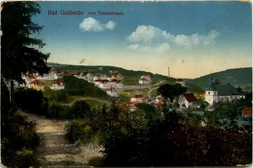 Bad Gottleuba vom Tannenbusch -388892