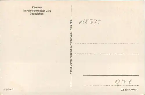 Prerow, Strandleben -388618