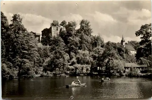 Tharandt, Schlossteich mit Ruine -387454