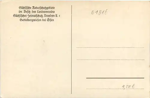 Sächsisches Naturschutzgebiet. Sattelbergwiesen -388844