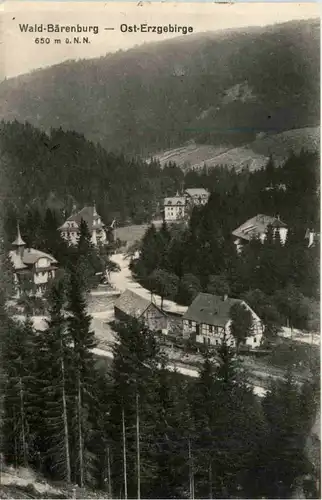 Wald-Bärenburg -387606