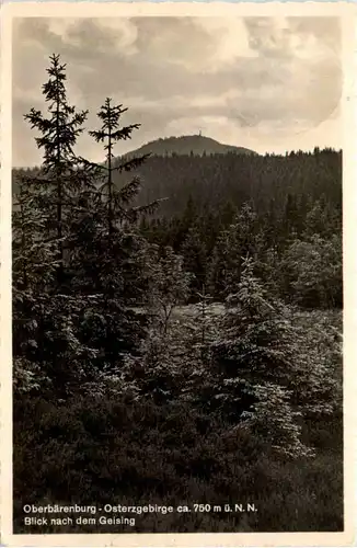 Oberbärenberg im Erzgebirge, Blick nach dem Geising -387640