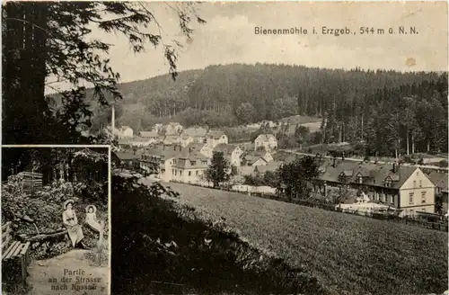 Bienenmühle i. Erzgeb., -390092