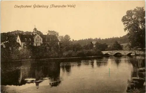 Oberfärsterei Grillenburg, Tharandter Wald -389464