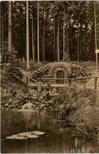 Die Warnsdorfer Quelle im Grillenburger Walde -389502