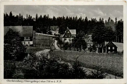 Kurort Oberbärenburg -389694