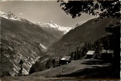 Mayens de Sion - paturage de la Sarra -450400