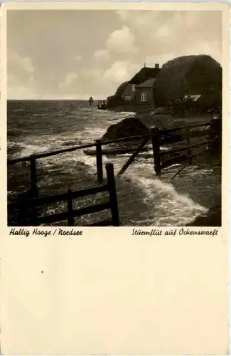 Hallig Hooge/Nordsee, Sturmflut auf Ockenswarft -390526