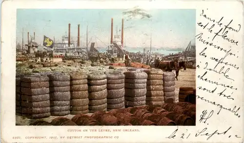 New Orleans - Cotton on the Levee -450900