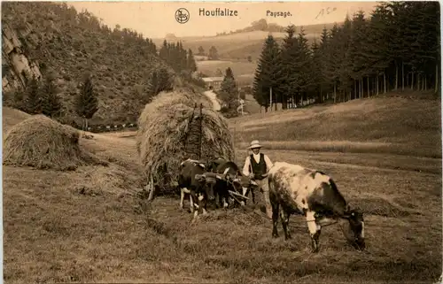 Houffalize - Paysage -451100