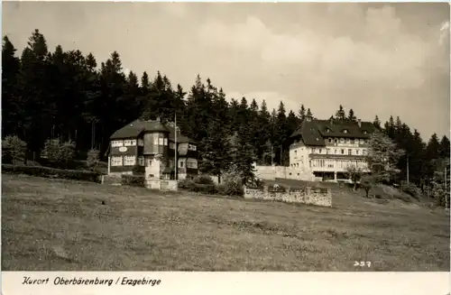Oberbärenburg, -389690