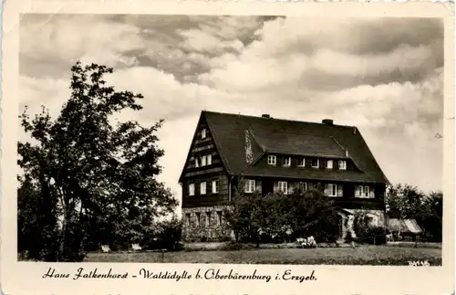 Kurort Oberbärenburg, Haus Falkenhorst -389710