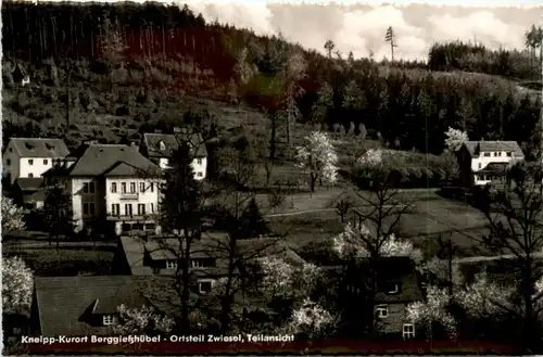 Bad Gottleuba-Berggiesshübel, Ortsteil Zwiesel, Teilansicht -391074
