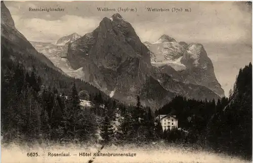 Rosenlaui - Hotel Kaltenbrunnensäge -451760