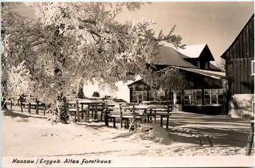 Nassau/Erzgeb., Altes Forsthaus -390066