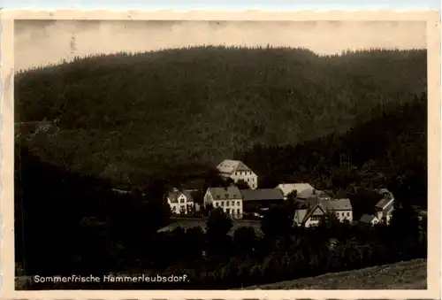 Sommerfrische Hammerleubsdorf -390174