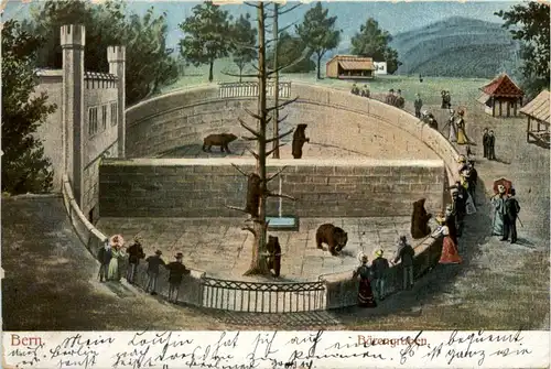 Bern - Bärengraben -479594