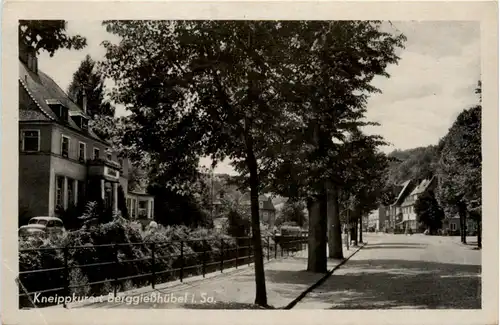 Bad Gottleuba-Berggiesshübel, -391070
