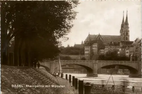 Basel - Rheinpartie mit Münster -479212