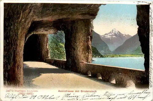 Axenstrasse mit Bristenstock -479256