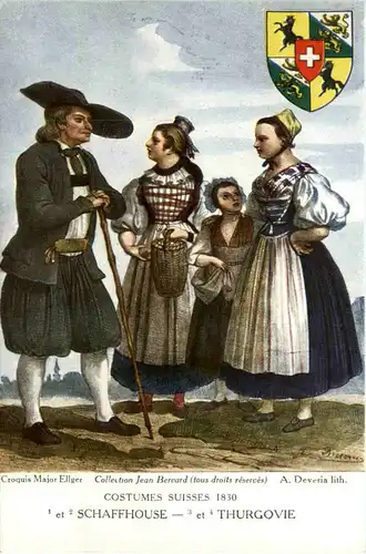 Schaffhausen Thurgauerin -479110