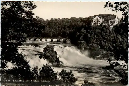 Schaffhausen - Rheinfall mit Schloss Laufen -480092