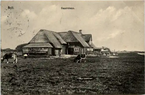 Sylt, Bauernhaus -457210