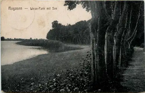 Rogasen - Weise Park mit See -481880
