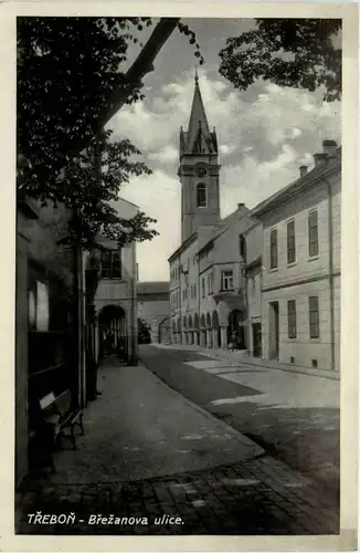 Trebon - Brezanova ulice- Deutche Dienstpost Böhmen/Mähren - 3. Reich -92492