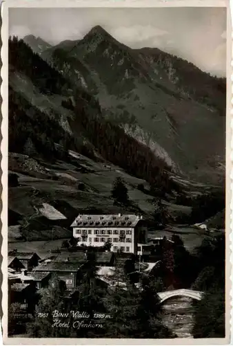 Binn Wallis - Hotel Ofenhorn -480286