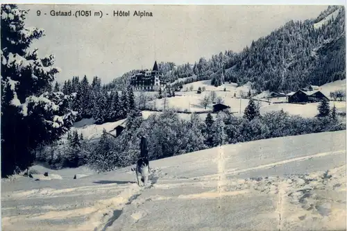 Gstaad - Hotel Alpina -482590