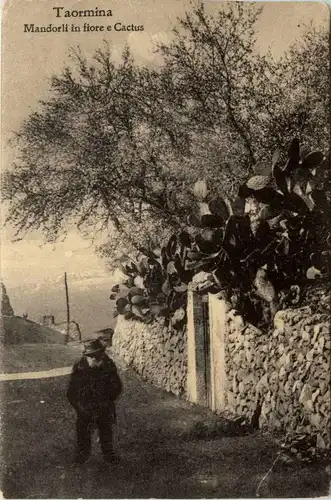 Taormina - Mandorli in fiore e Cactus -93222