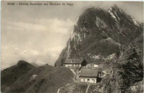 Chalets Sautodon aux Rochers de Naye -482592