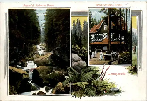 Wernigerode - Hotel Steinerne Renne -482746