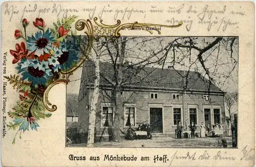 Gruss aus Mönkebude am Haff - Litho -481882
