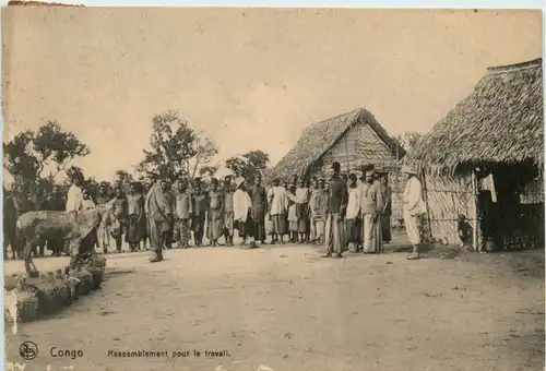 Congo Belge - Rassemblement pour le travail -484520