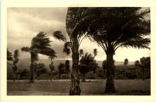 Congo Belge - Mission des RR PP Jesuites -484704