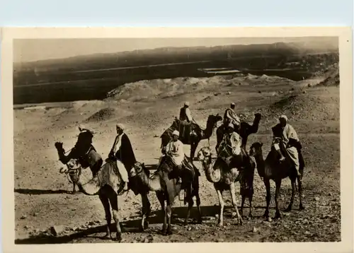 Cairo - Caravan at the Sahara Desert -484824